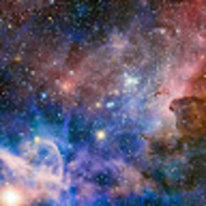 Meet your Posher, Shawn